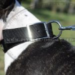 Nylon Dog Collar Strong with Belt Buckle for Bull Terrier