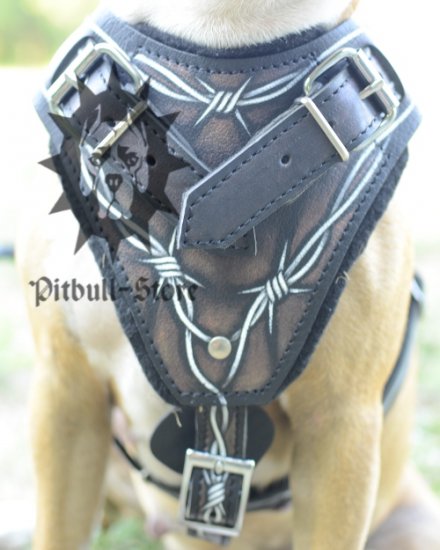 Leather Padded Dog Harness with Barbed Wire Design