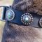 Dog Collar of Leather with Blue Stones