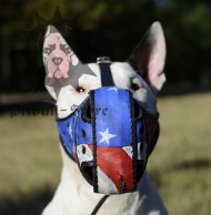 Leather dog muzzle | Bull Terrier muzzle | American Pride ?