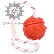 Dental Ball for Pitbull with Wire UK