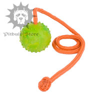 Solid Rubber
Ball for Dog Games | Durable Dog Toy for Pitbull