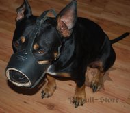 Leather Dog Muzzle for Staffordshire Bull Terrier, Nappa Padded