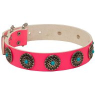 Pink Dog Collar with Blue Stones for Staffordshire Walking Pink Dog Collar with Blue Stones for Staffordshire Walking