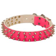 Leather Spiked Dog Collar in Pink for Female Staffy Walking Leather Spiked Dog Collar in Pink for Female Staffy Walking