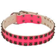 Fancy Style Pink Leather Dog Collar for Stafford, "Caterpillar" Fancy Style Pink Leather Dog Collar for Stafford, "Caterpillar"