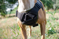 Dog Training Harnes Nylon for Pitbull | Dog Sport
Harness