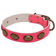 Pretty Dog Collar for Female Staffy | Pink Leather Dog Collars Pretty Dog Collar for Female Staffy | Pink Leather Dog Collars