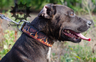 Staffordshire Collar | Designer Dog Collar with Flames, Leather Staffordshire Collar | Designer Dog Collar with Flames, Leather
