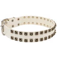 Wide Dog Collar with Studs for Staffy | White Leather Dog Collar Wide Dog Collar with Studs for Staffy | White Leather Dog Collar