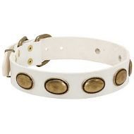 Dog Fashion Collar White Leather for Staffy | Unusual Dog Collar Dog Fashion Collar White Leather for Staffy | Unusual Dog Collar