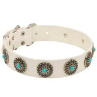 White Leather Dog Collar with Vintage Decoration for Staffy White Leather Dog Collar with Vintage Decoration for Staffy