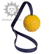 Hollow Toy Ball with a
Cord | Pit Bull 2.3 Inches Toy