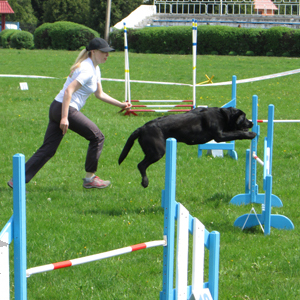 Agility Training