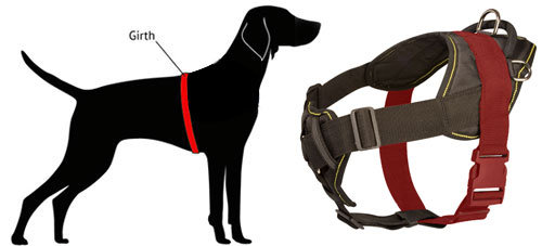 How to Measure Staffy for Nylon Harness