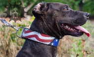 Unique Dog Collar with Exclusive Painting "American Pride" Unique Dog Collar with Exclusive Painting "American Pride"