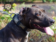 Wide Dog Collar with Vintage Plates | Large Dog Collar Wide Dog Collar with Vintage Plates | Large Dog Collar
