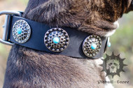 Dog Collar Leather with Blue Stones | Dog Collars UK Dog Collar Leather with Blue Stones | Dog Collars UK