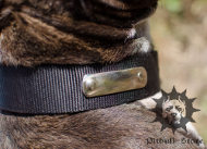 Dog Collar Name Plate | Personalized Dog Collar, Nylon Dog Collar Name Plate | Personalized Dog Collar, Nylon