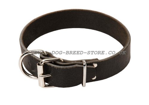 Classic Leather Dog Collar UK