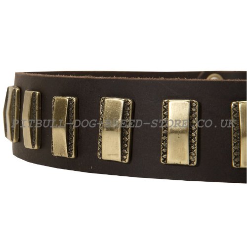 Custome Made Leather Dog Collars