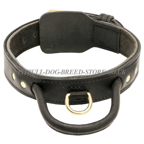 Dog Collar with Handle for Pitbull Behaviour
Correction
