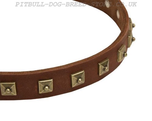 Studded Dog Collar UK