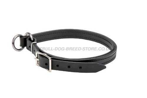 Leather Slip Collars for Dogs