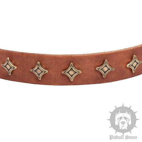 Leather Dog Collar Stars