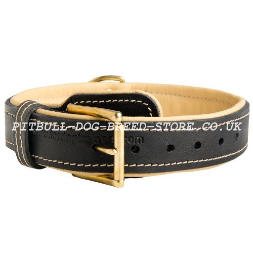 Strong Leather Dog Collar UK