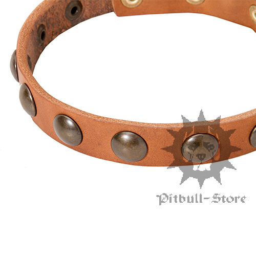 Puppy Leather Collar