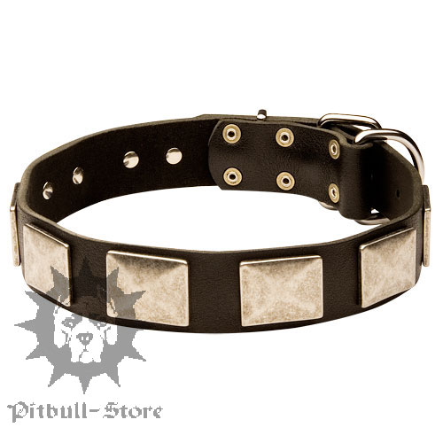 Soft Leather Dog Collar