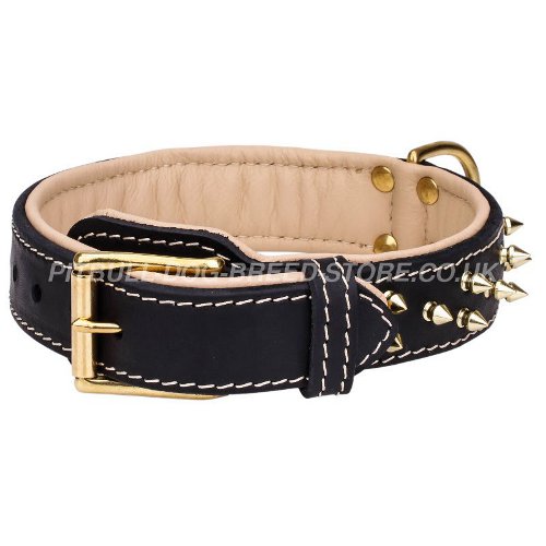 Luxury Leather Dog collar UK