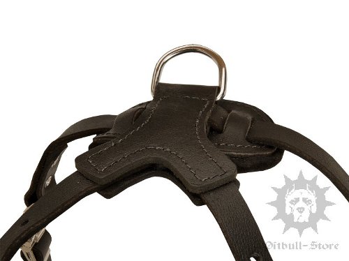 Leather Dog Harness for Staffy