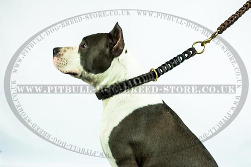 Braided Leather Dog Lead