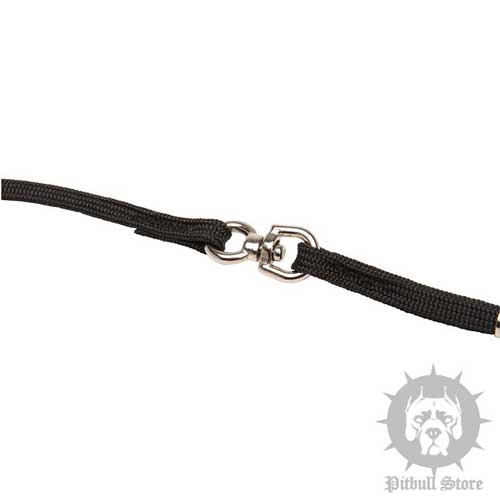 Dog Show Collar and Lead