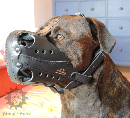 Muzzle
for Dogs
