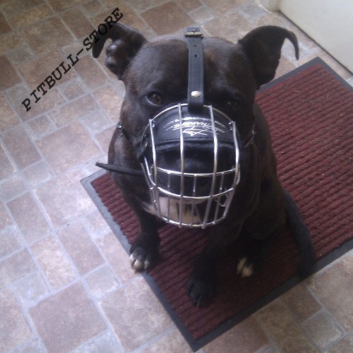 Wire Basket Dog Muzzle UK for Srafford