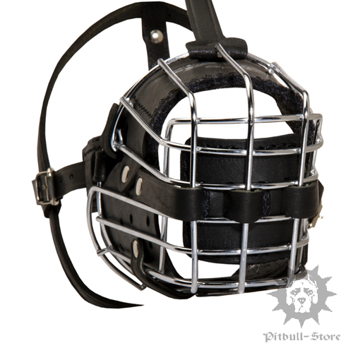 Staffy Wire Muzzle for Dogs