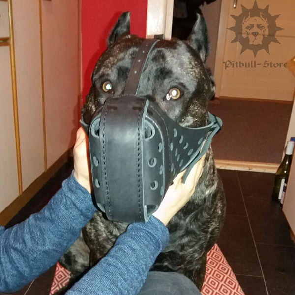 Leather Dog Muzzle UK