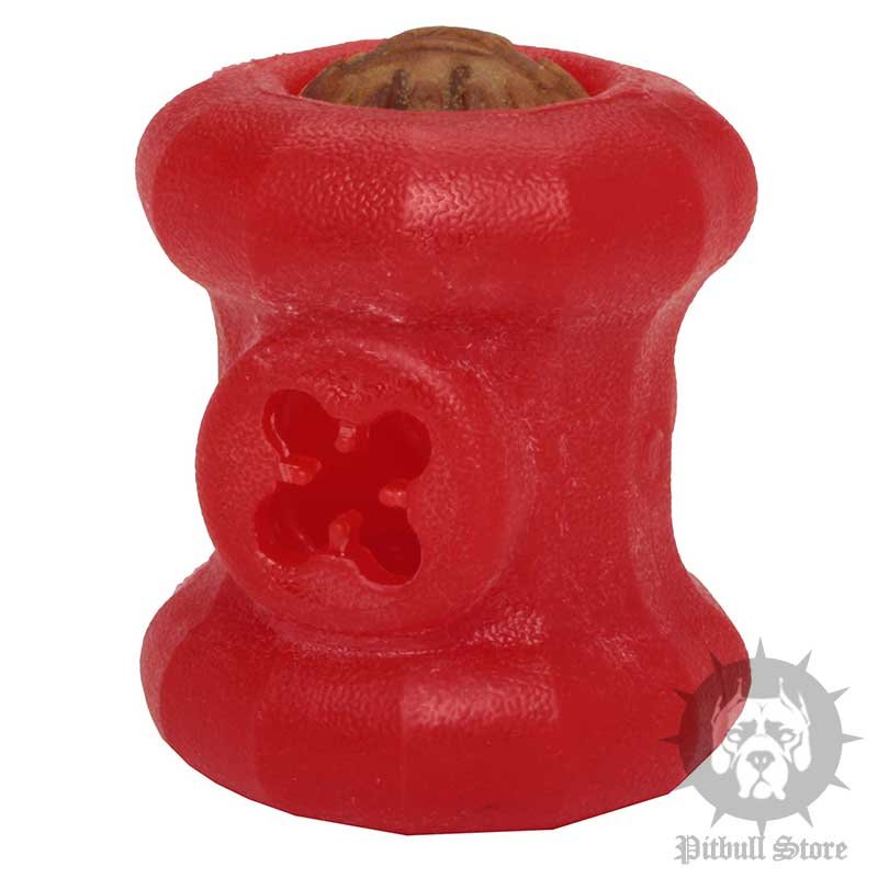 brain for puppies brain stimulating for staffy bull terrier 163 23 00 brain for puppies brain stimulating for staffy bull terrier 163 23 00