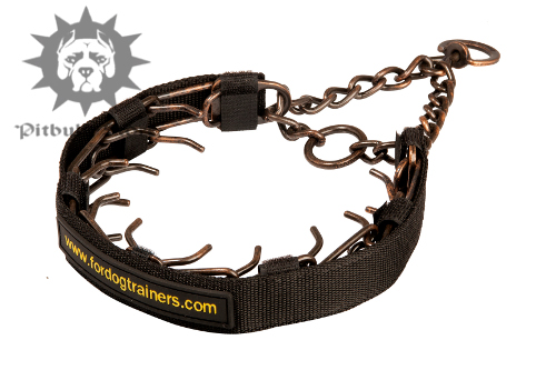 staffy puppy collars