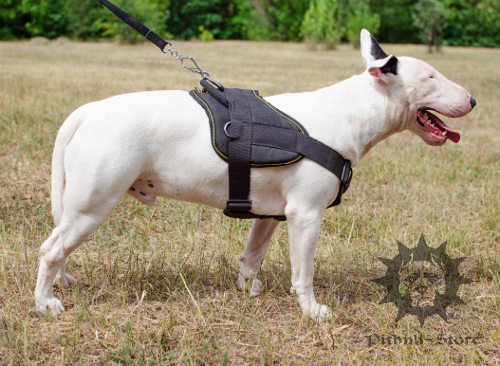 Dog sport harness nylon for Bull Terrier training