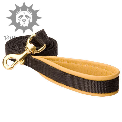 Nylon Handle Padded Dog Lead for Pitbull and Staffy