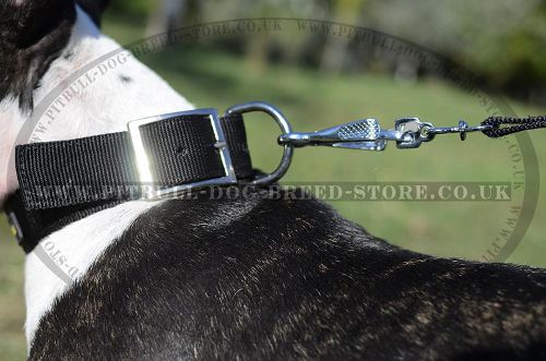 Nylon Dog Collar Strong with Belt Buckle for Bull Terrier
