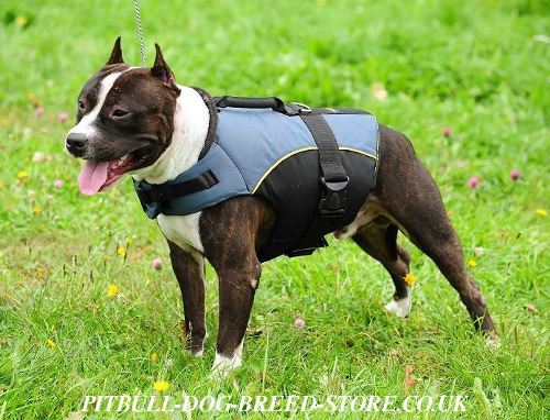 Dog Harness Vest of Nylon for Staffy Rehabilitation and Warming
