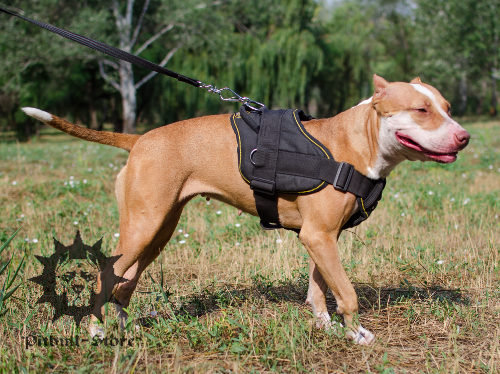 Dog sport harness nylon for Pitbull training
