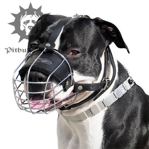Wire Dog Muzzle for Pitbull and Staffy, Perfectly Ventilated