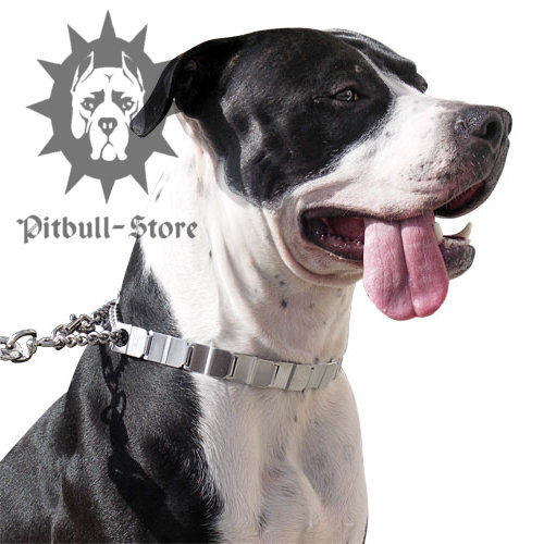 Staffordshire Bull Terrier Chain Collar Pitbull Chain Collars [50150 010 (55) Herman Sprenger Staffordshire Bull Terrier Chain Collar Pitbull Chain Collars [50150 010 (55) Herman Sprenger