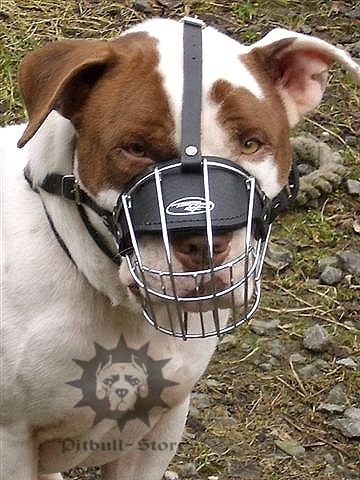 wire basket muzzle for staffy
